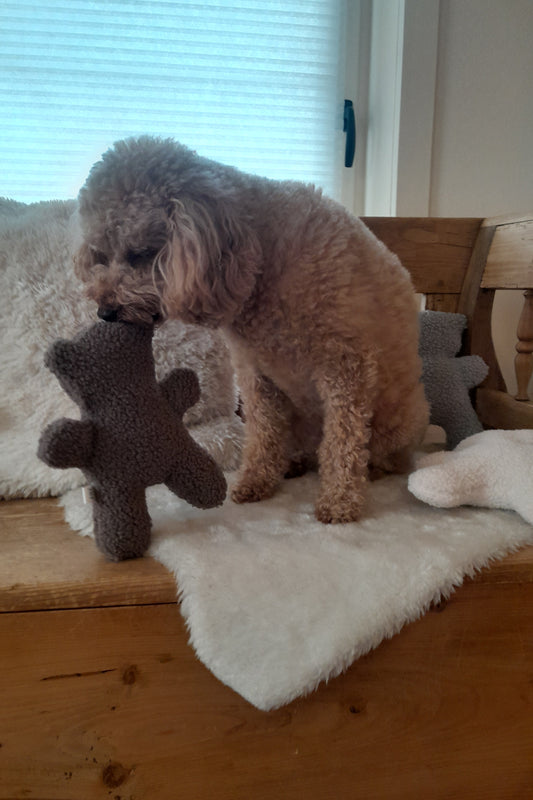Judith & Florent Knuffelbeer Teddy – Bruin- Zacht pluchen vriendje voor je hond