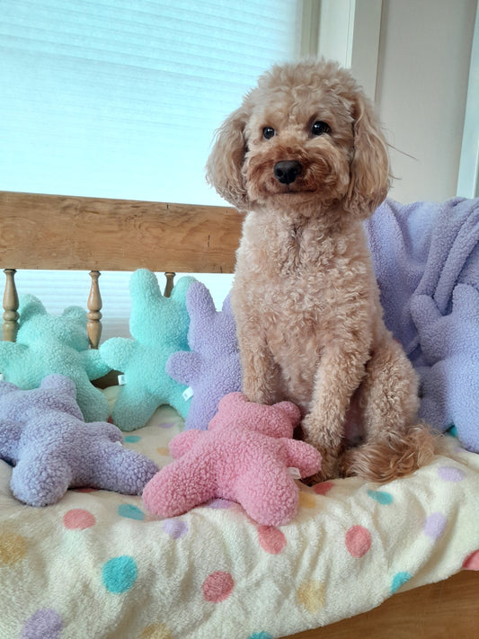 J&F Knuffelkonijn – Zachte hondenknuffel zonder piep - Roze