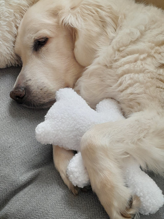 Judith & Florent Knuffelbeer Teddy – Roze - Zacht pluchen vriendje voor je hond
