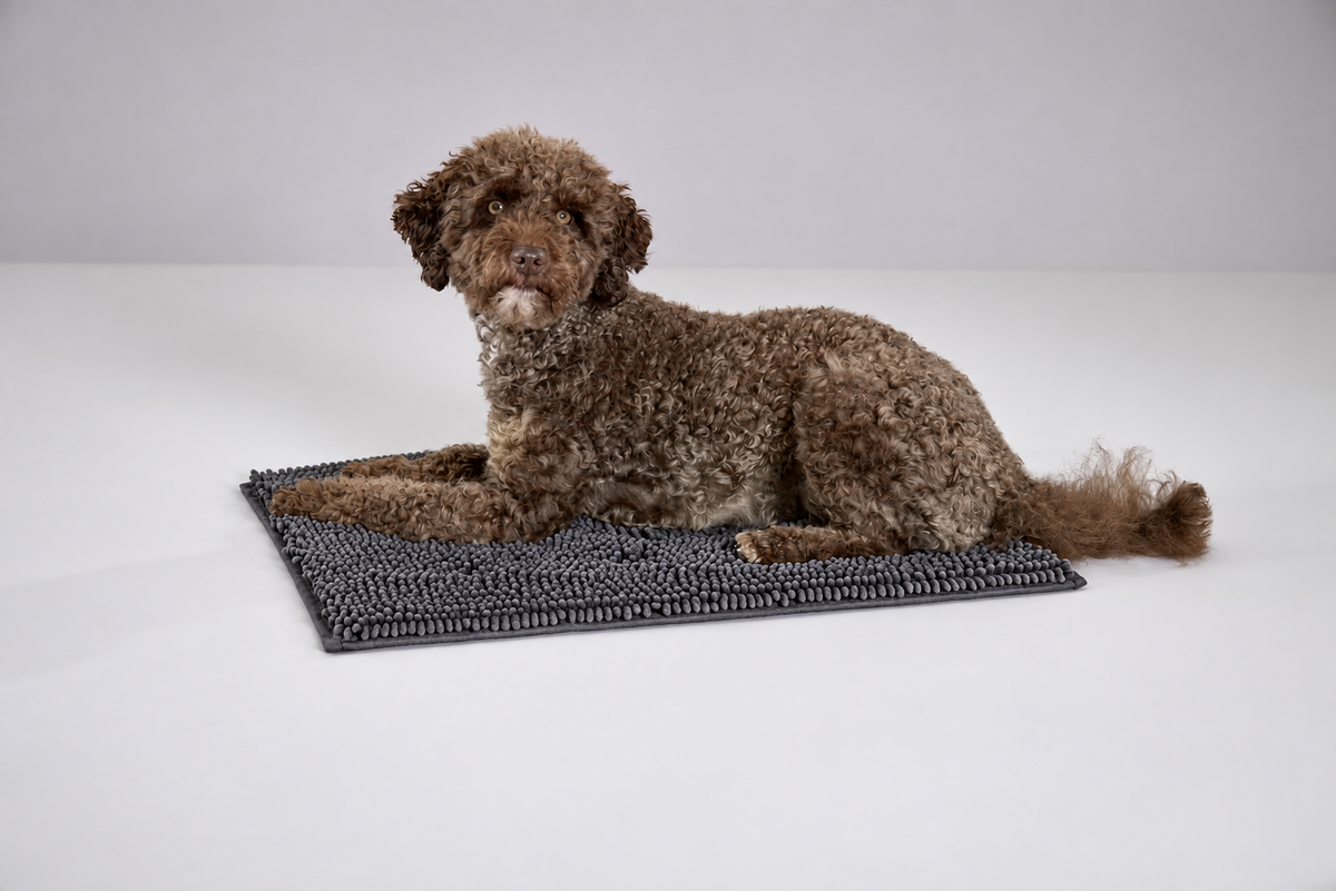 WOLTERS – Absorberende Hondenmat