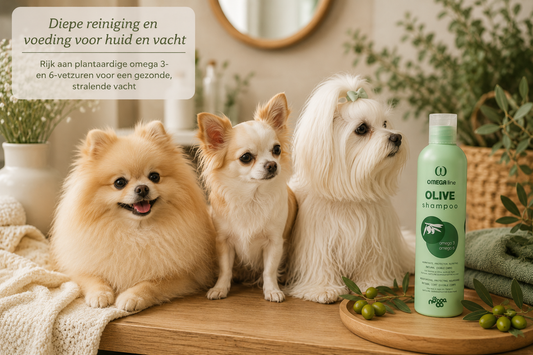 Nogga – Omega Olive shampoo