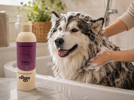Nogga – Biohorse hondenshampoo