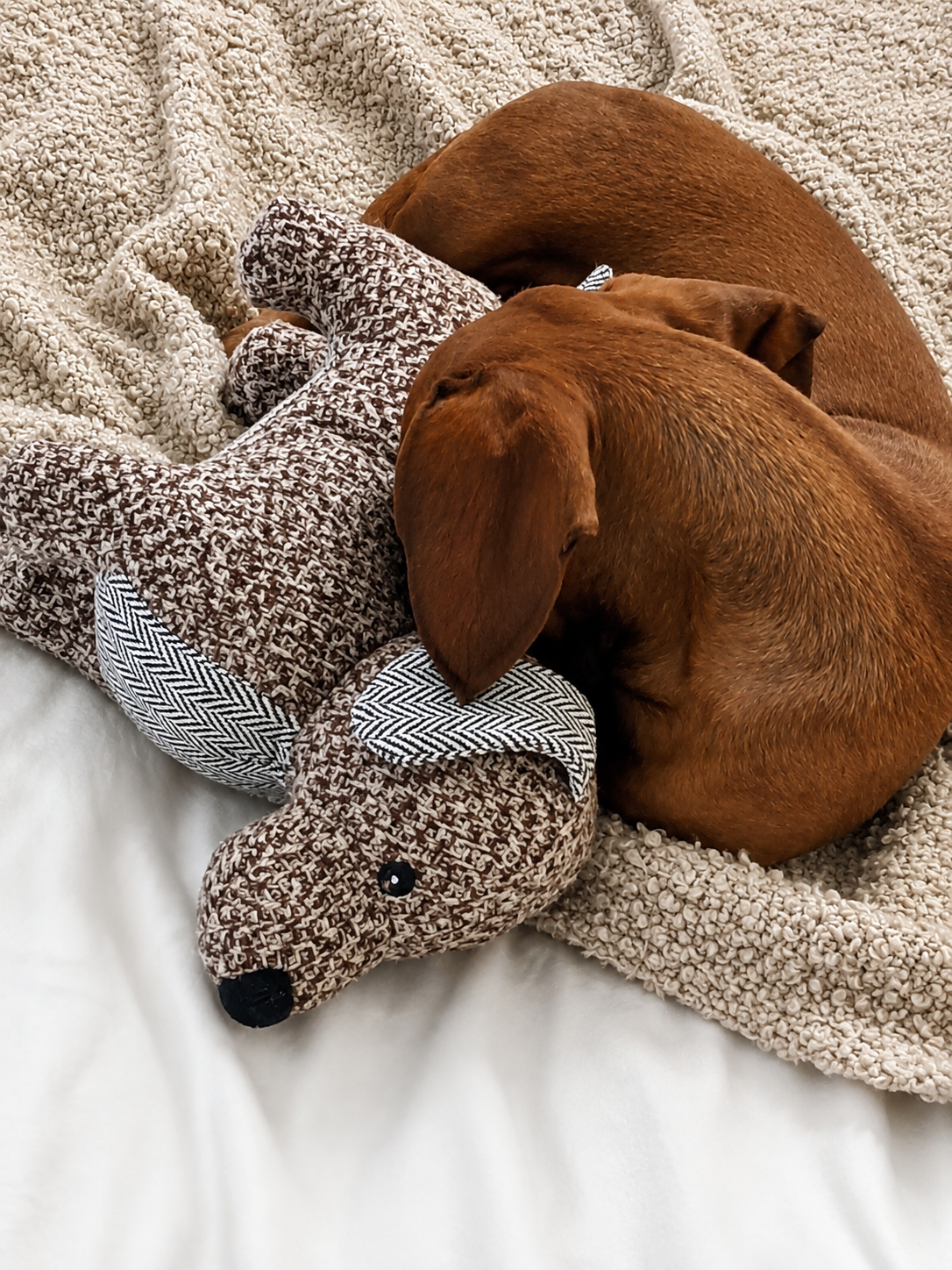 Nordog – Knuffelteckel