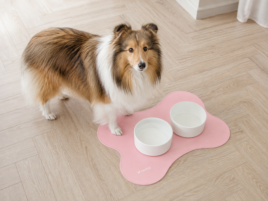 Nordog – Placemat – Candyroze