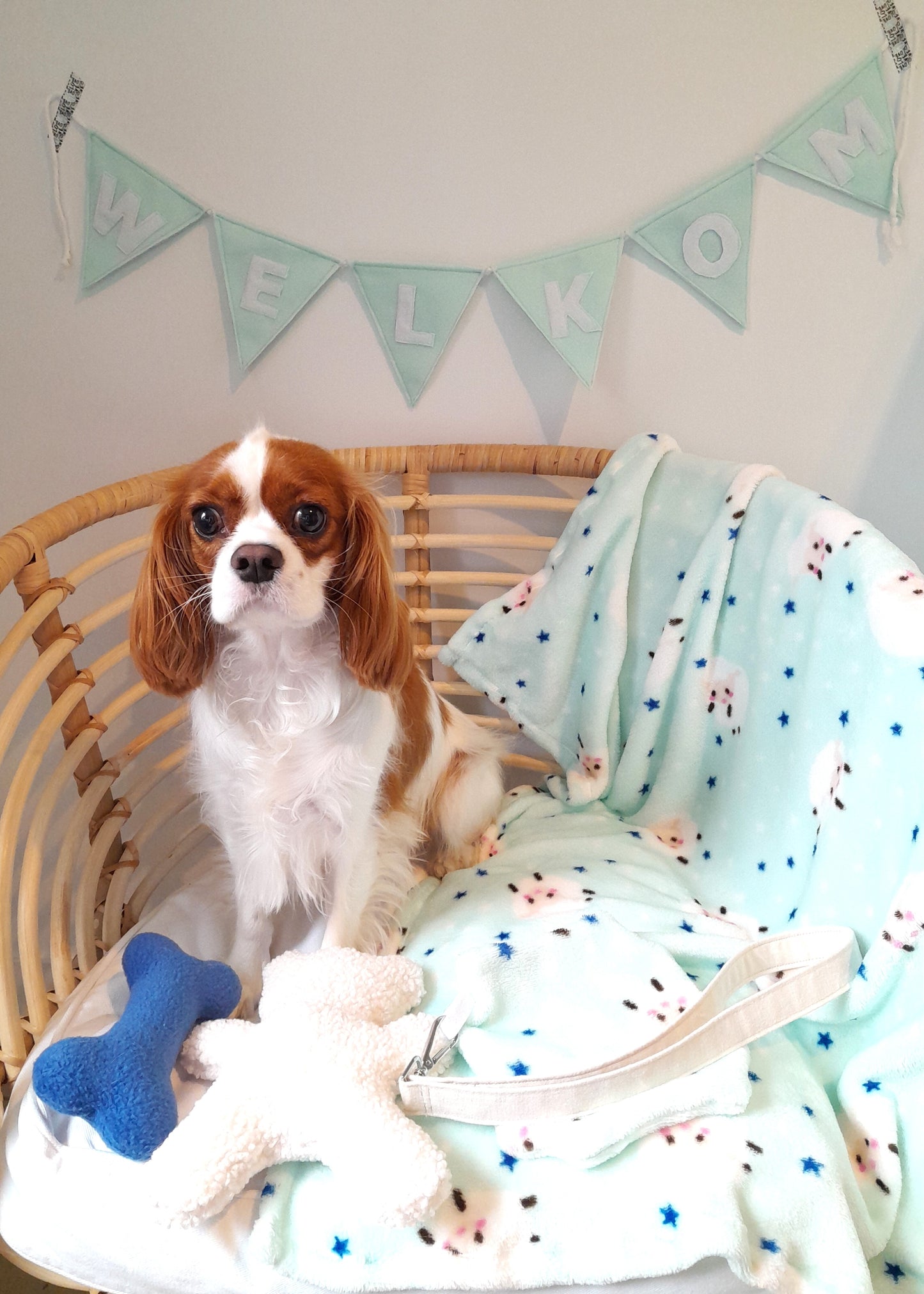 J&F Fleece Dekentje – Puppy Fleece