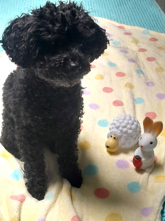 J&F Fleece Dekentje – Lentefleece Pastel Stippen