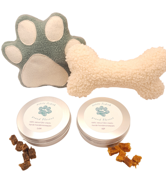 Judith & Florent Pretpakket – Verwenpakket met speelgoed en snoepjes