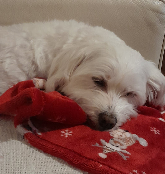 J&F Rudolph – Kerst fleece dekentje (70 cm x 95 cm)