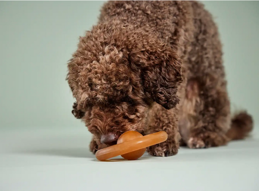 Pure Nature Play Wheel – apporteerspeeltje van natuurrubber