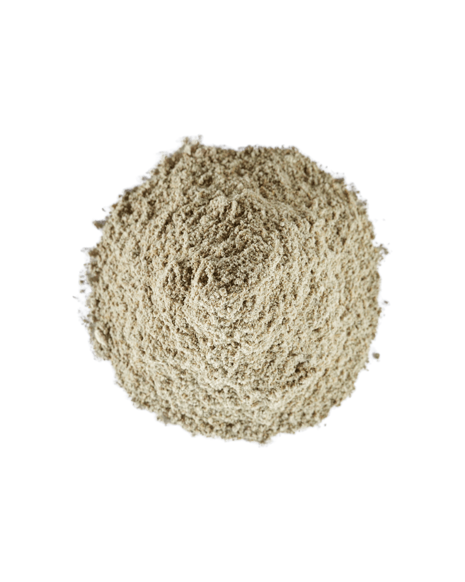 Supplement Digestive Guard– Ondersteuning gezonde spijsvertering