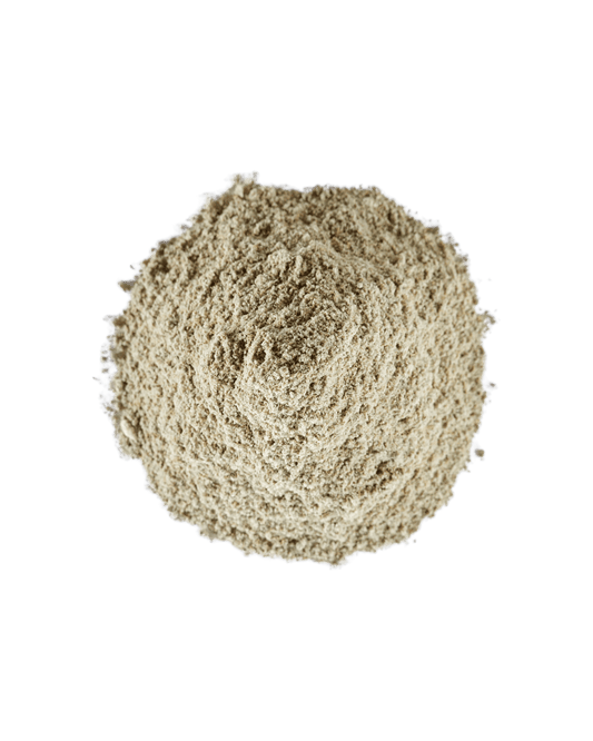 Supplement Digestive Guard– Ondersteuning gezonde spijsvertering