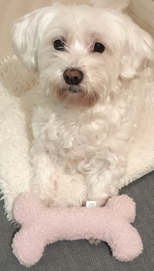 Judith & Florent Teddybot - Pluchen hondenspeeltje – Zacht teddystof roze