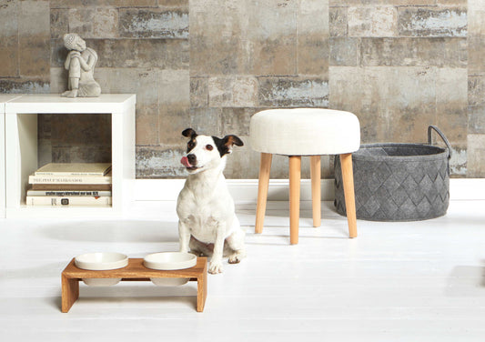 Verhoogde voerbak hond dubbel – Gohan - Met keramische bakjes en houten standaard