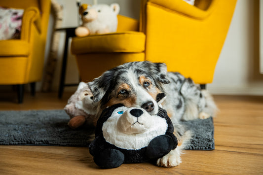 Wolters Pluchen zacht hondenspeelgoed husky – OEKO-TEX® gecertificeerd