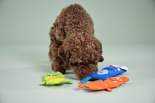 Wolters Funny Dummy hondenspeeltje – Geel-Groen – Duurzaam en waterbestendig