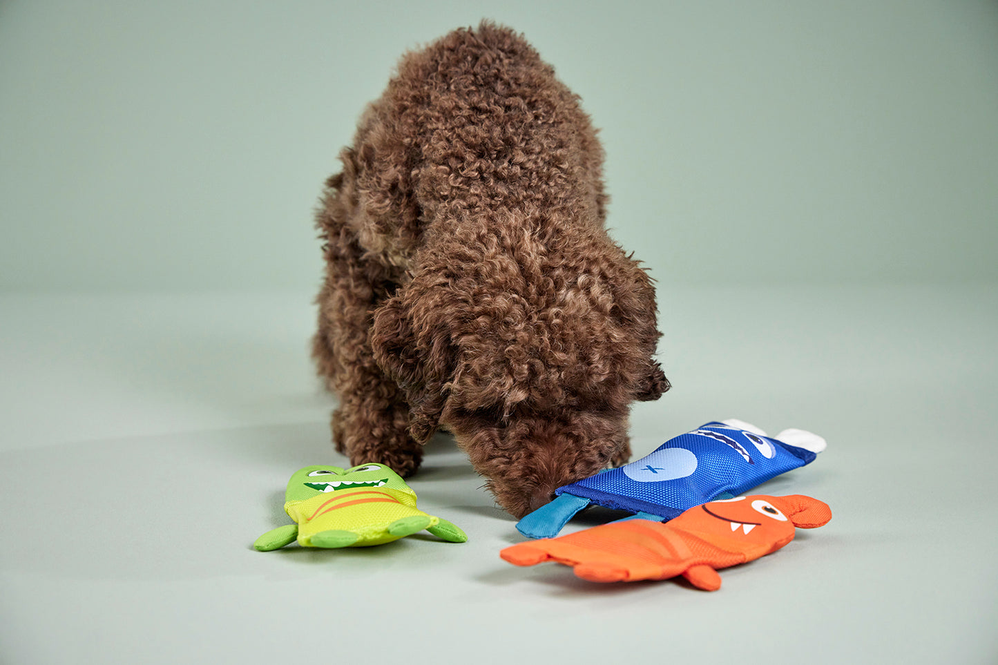 Wolters Funny Dummy Apporteerspeelgoed – Blauw – Supersterk en kauwbestendig