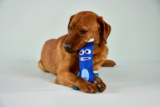 Wolters Funny Dummy Apporteerspeelgoed – Blauw – Supersterk en kauwbestendig