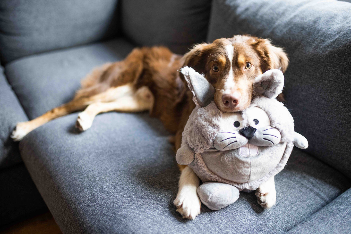 Pluchen knuffel Bunny – Knuffel zonder pieper - groot