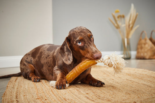 Pure Nature Flosser – Natuurlijk kauwspeeltje - Tandverzorgend