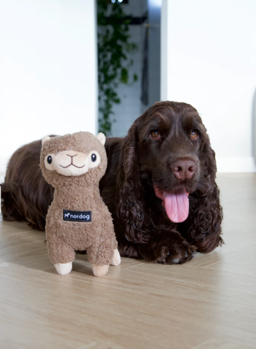 Nordog pluchen zacht hondenknuffel alpaca– Scandinavisch design