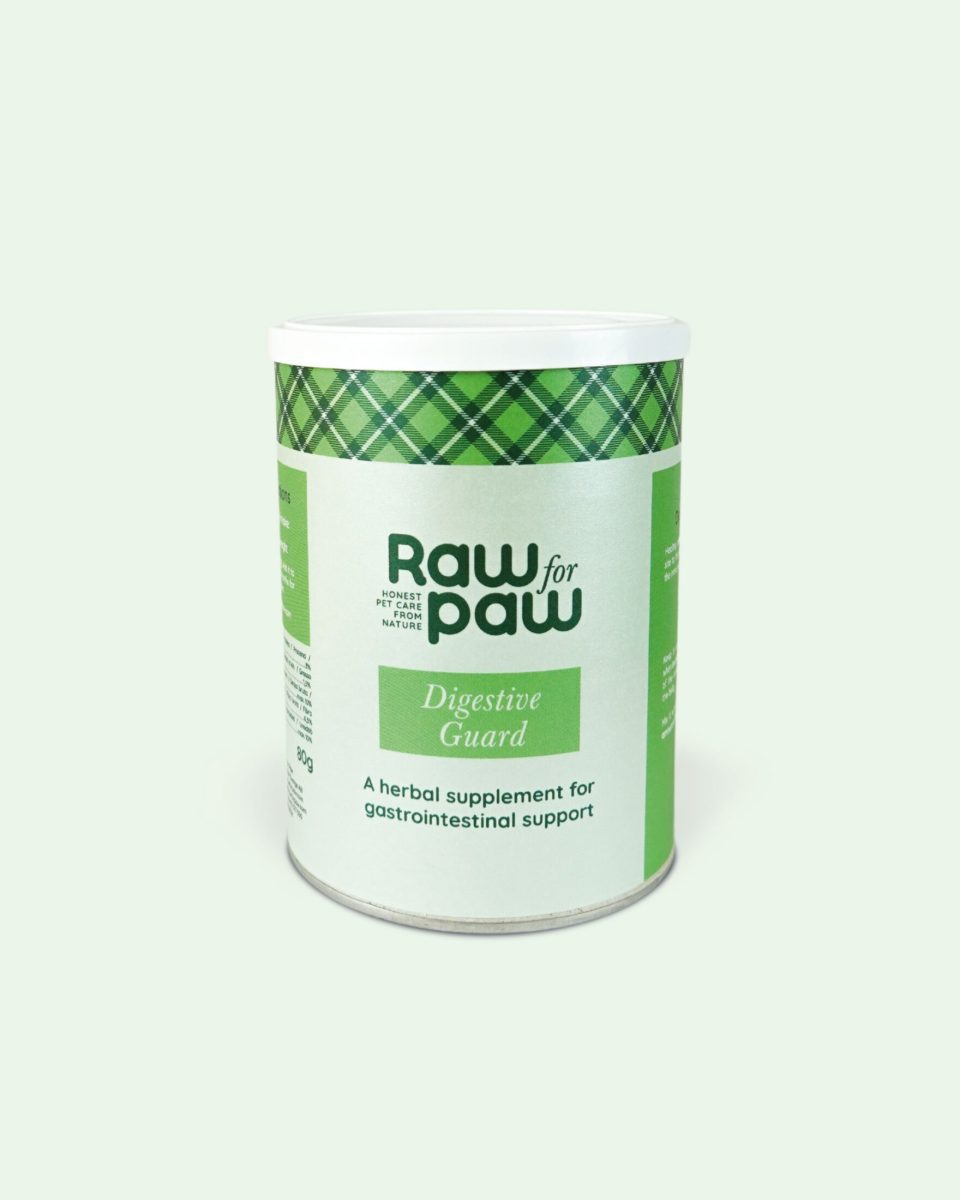 Supplement Digestive Guard– Ondersteuning gezonde spijsvertering