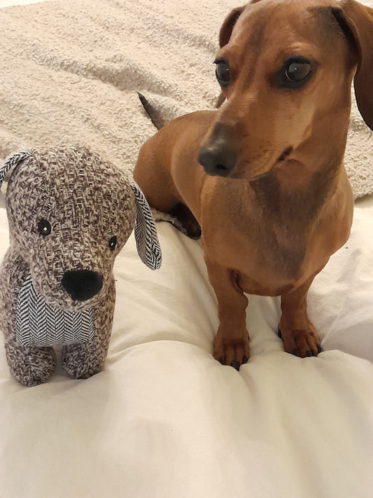 Hond met een pluchen teckel speeltje van Nordog
