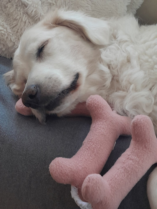 Hond slaapt met de Blossom knuffelketting van Judith & Florent