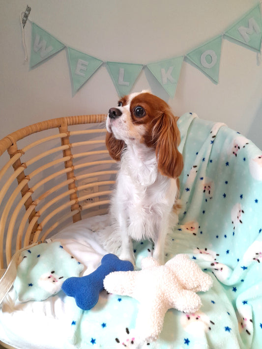 Judith & Florent puppypakket voor nieuwe pups