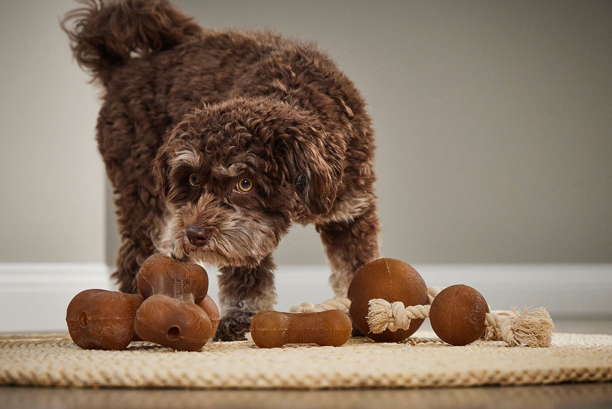 Pure Nature kauw- en apporteerspeeltje met touw en bal voor honden