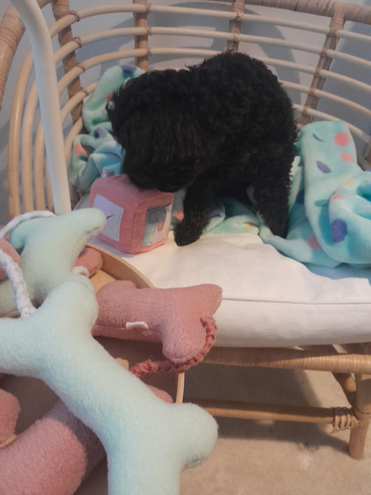 Roze kubusbal intelligentiespel voor honden van Judith & Florent