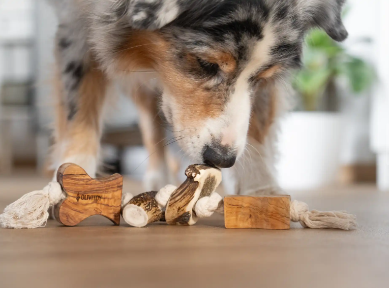 Natuurlijk Olivi kauwspeeltje met olijfhout, gewei en touw voor honden