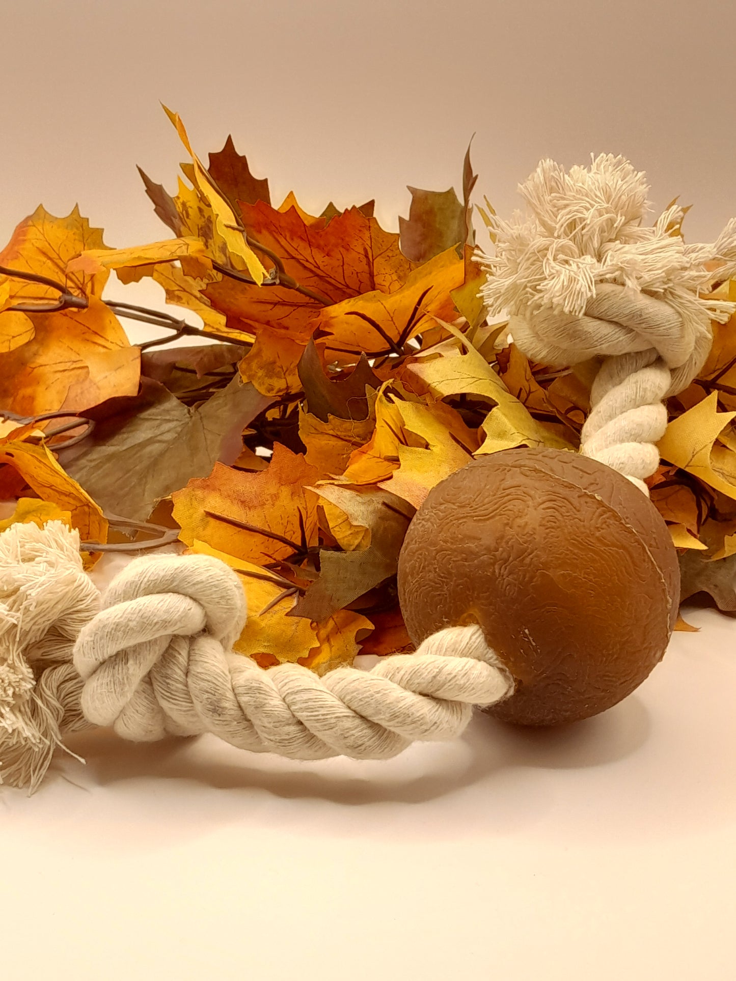 kauwbot hond Pure Nature 100% natuurlijk kauwspeeltje met touw en bal geen kunstmatige kleurstoffen apporteerspel tandverzorging hond front