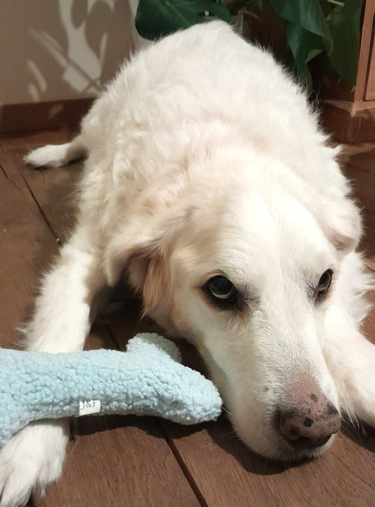 Judith & Florent Teddybot - Pluchen hondenspeeltje – Zacht teddystof blauw