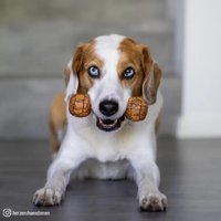 Olivi Dumbbell – Natuurlijk kauwspeeltje van olijfhout