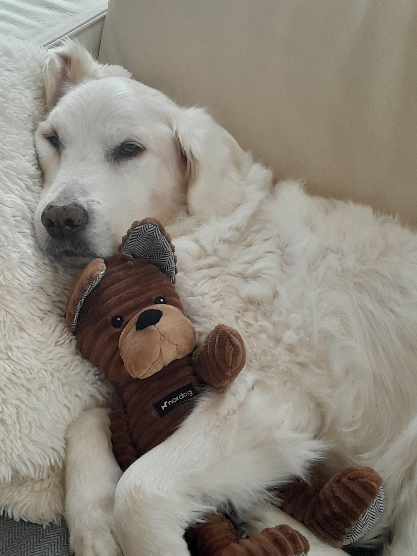 Nordog pluchen zacht hondenknuffel bulldog– Scandinavisch design