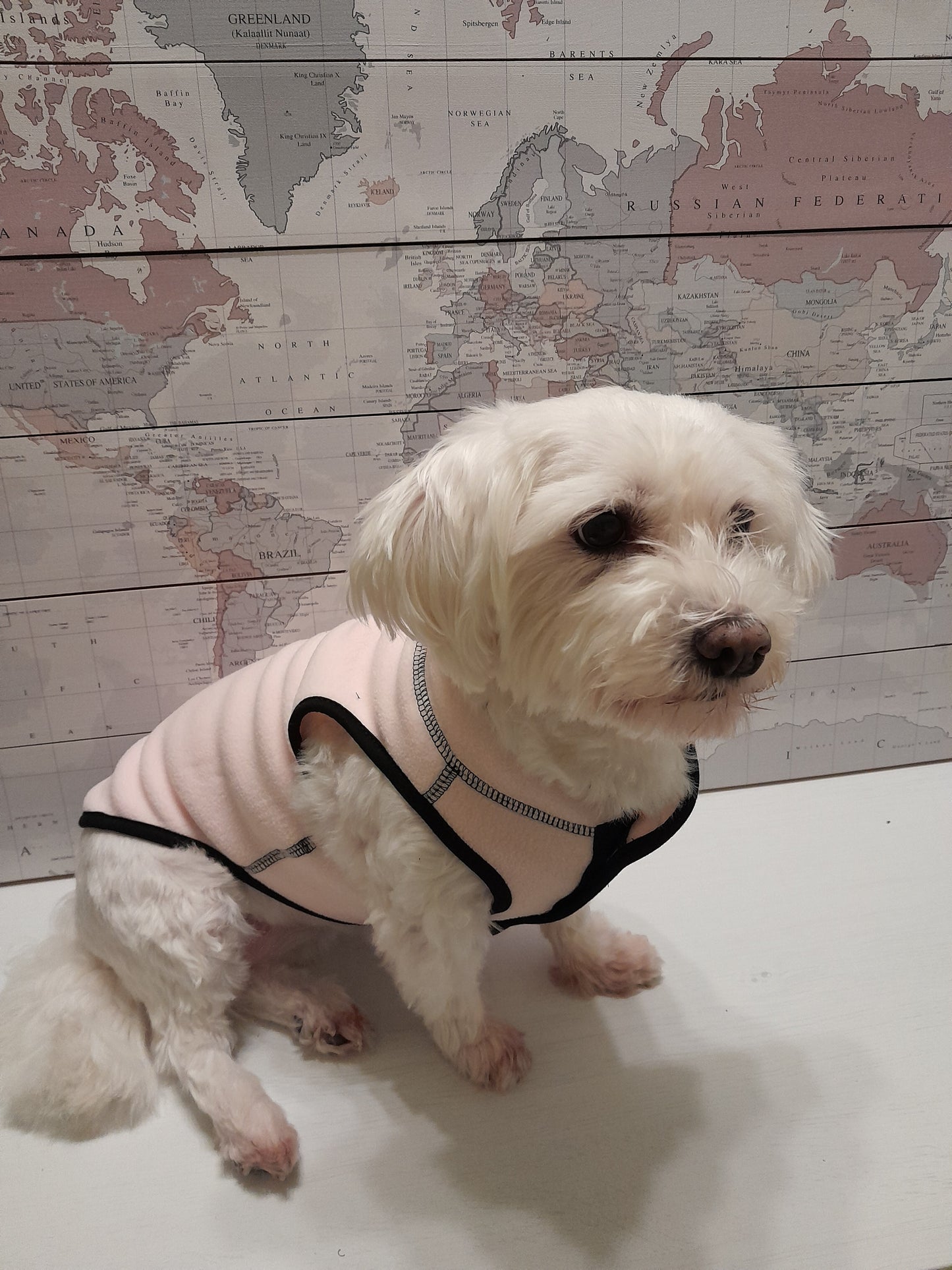 fleece jas Milk & Pepper roze Mina front