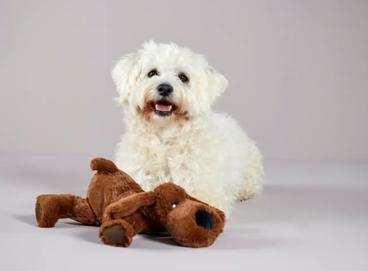 Wolters zacht hondenspeelgoed in de vorm van een bruin hondje van 30 cm zonder piepgeluid