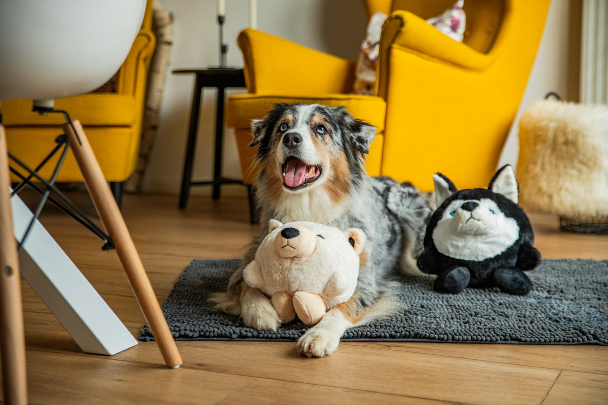 Zachte ijsbeer knuffel van Wolters voor honden