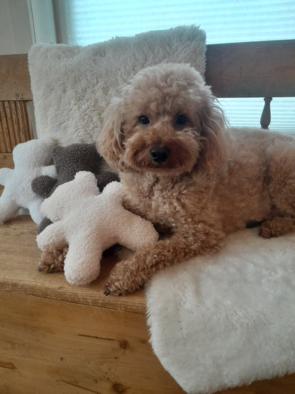 Judith & Florent Knuffelbeer Teddy – Champagne - Zacht pluchen vriendje voor je hond