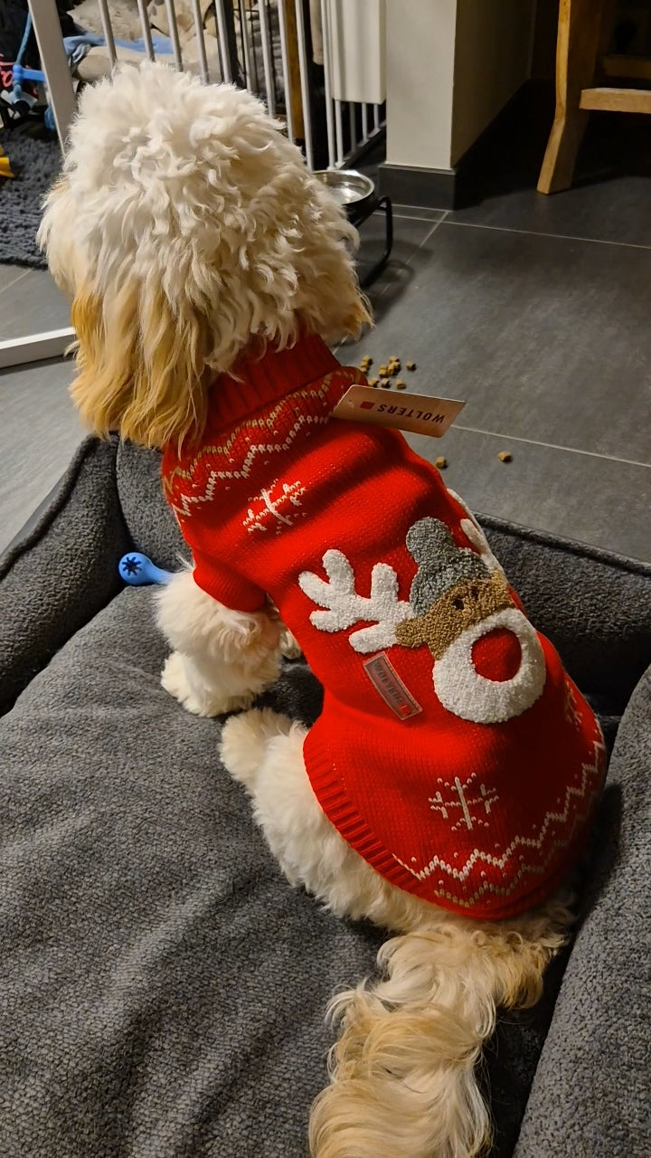Rudi hondenpullover – Warme trui voor kleine en middelgrote honden