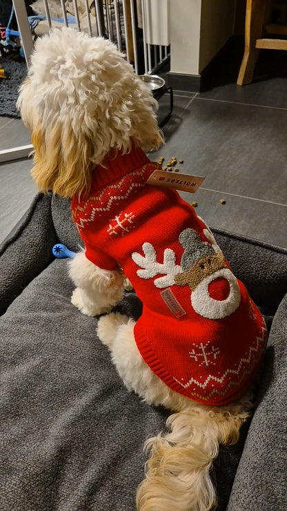 Rudi hondenpullover – Warme trui voor kleine en middelgrote honden