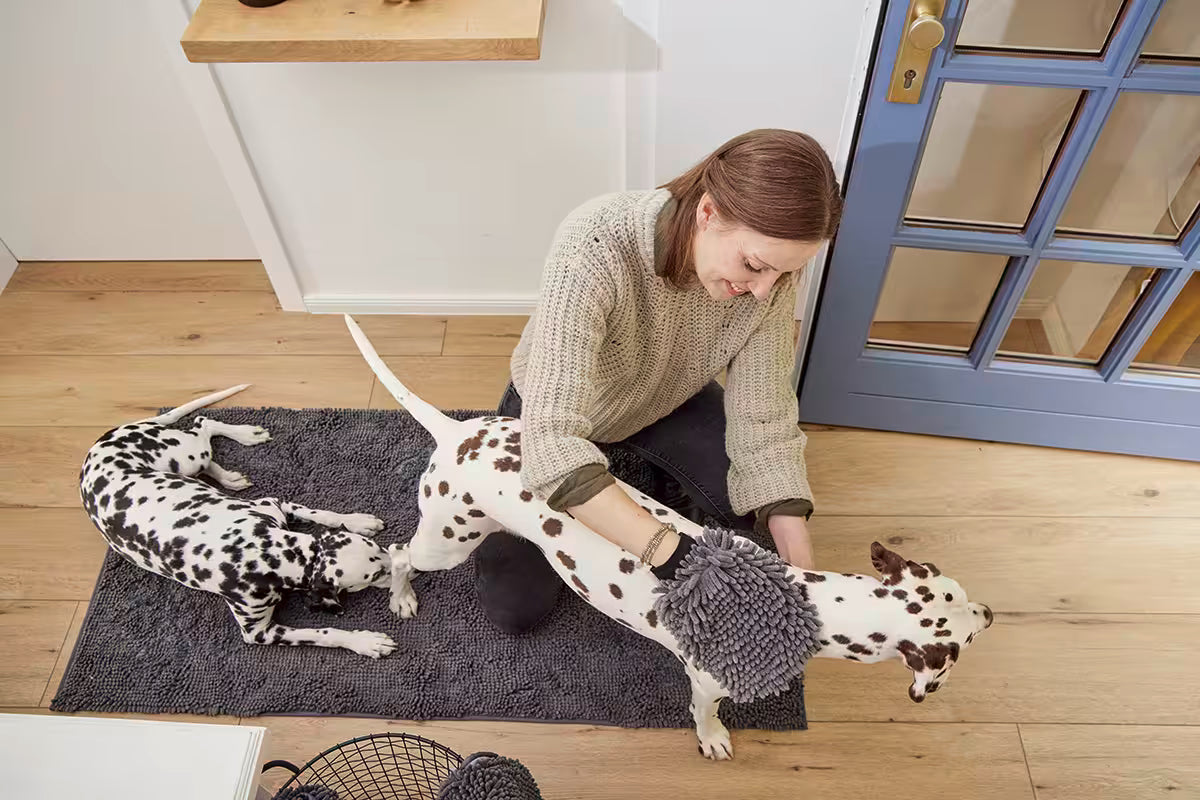 WOLTERS – Drooghandschoen voor honden
