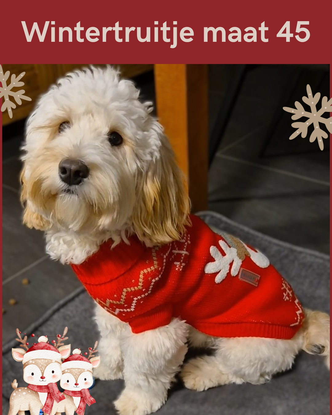 Rudi hondenpullover – Warme trui voor kleine en middelgrote honden
