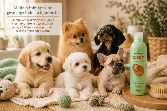Nogga – Omega Kokum puppyshampoo