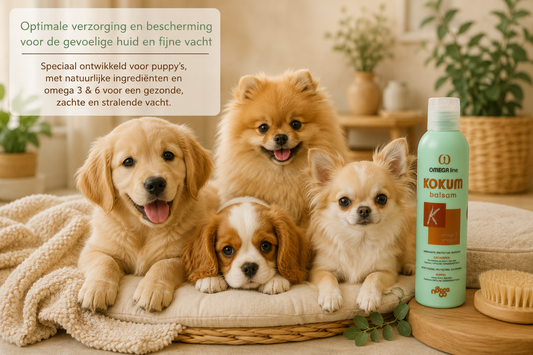 Nogga – Omega Kokum puppybalsem