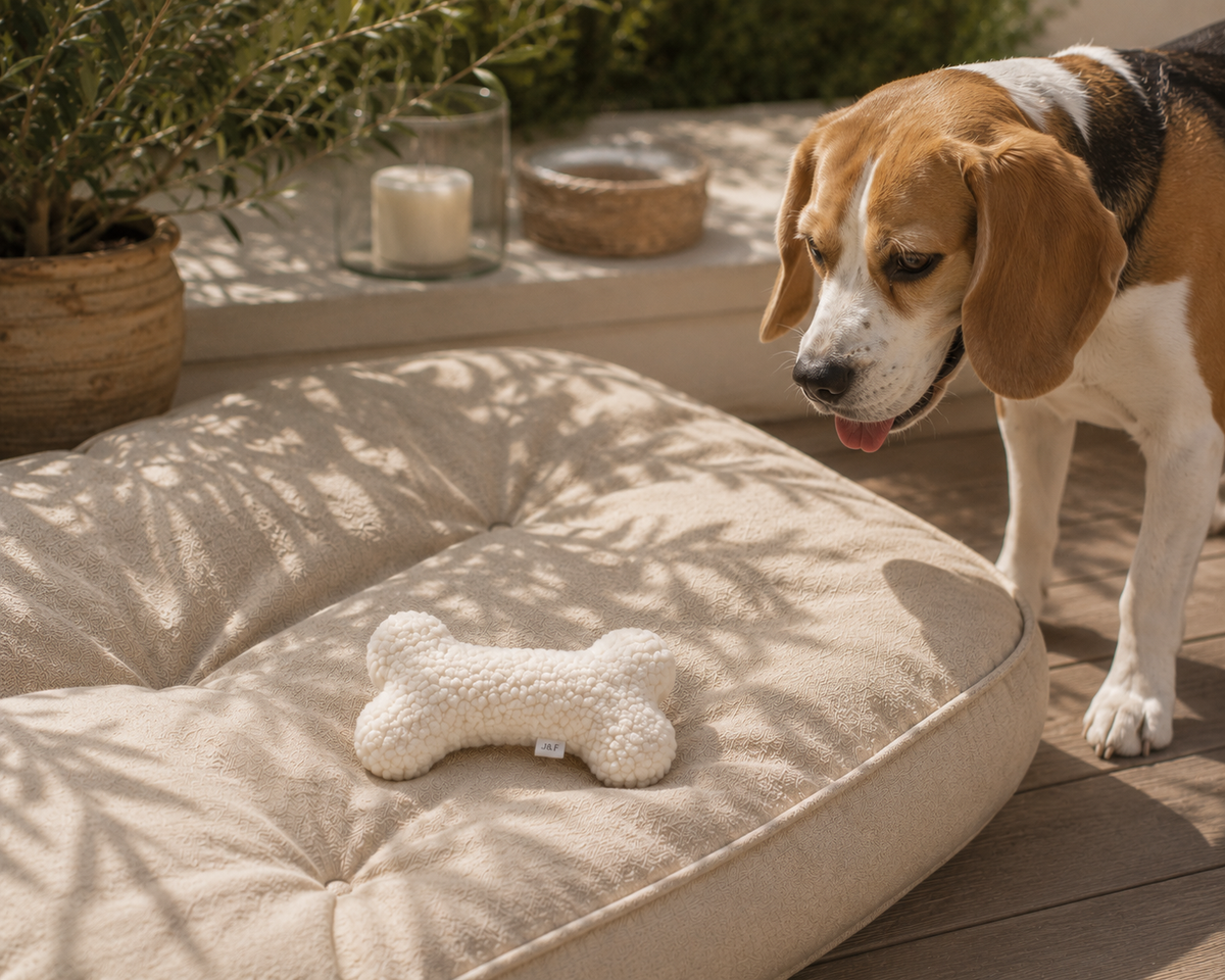 J&F – Teddybot – Wit