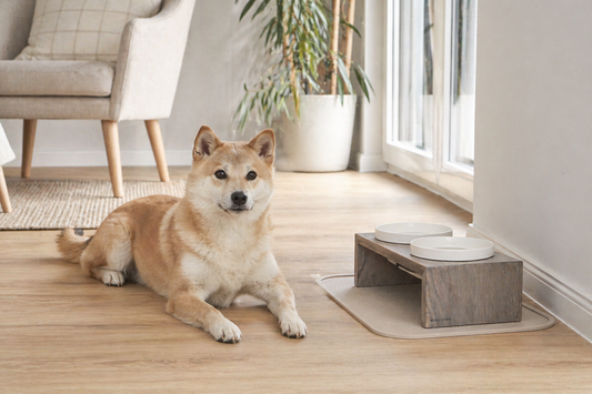 Verhoogde voerbak hond dubbel – Gohan – Grijs hout met keramische bakjes