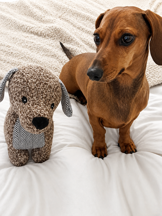 Nordog – Knuffelteckel