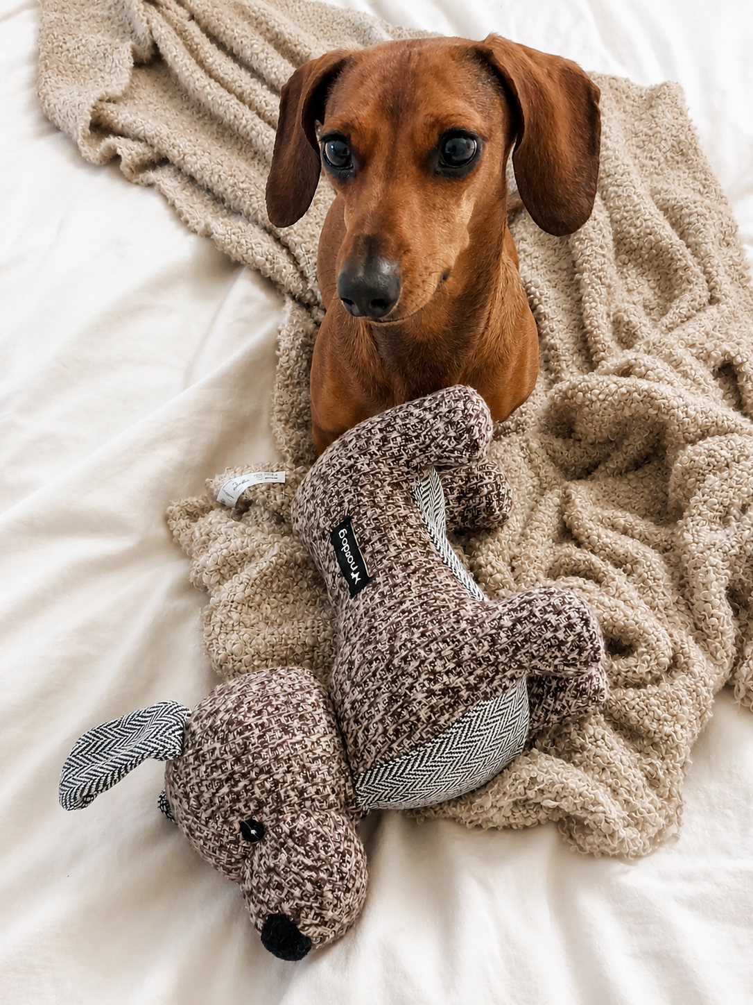 Nordog – Knuffelteckel
