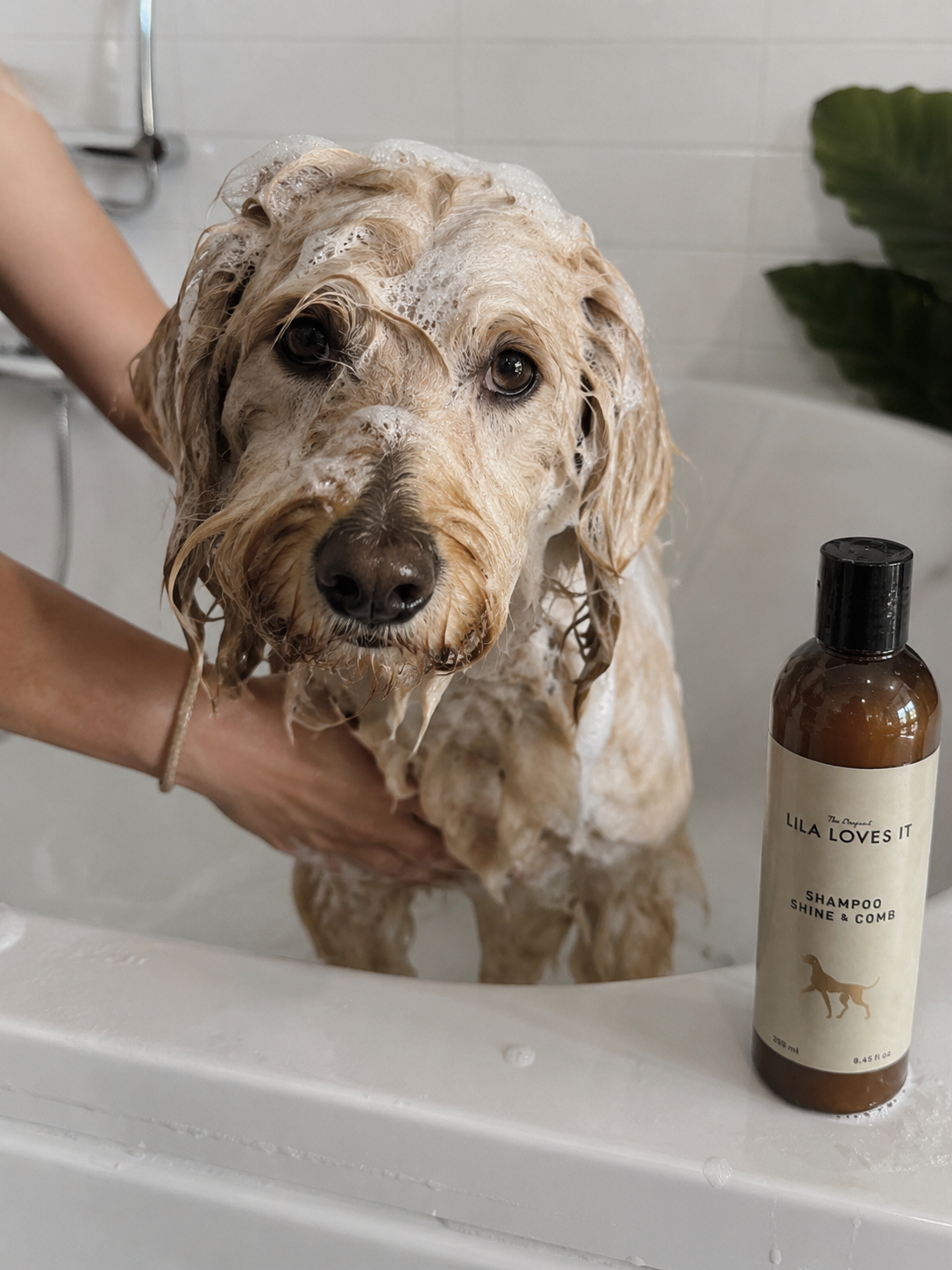 Lila Loves It - Shampoo Shine & Comb